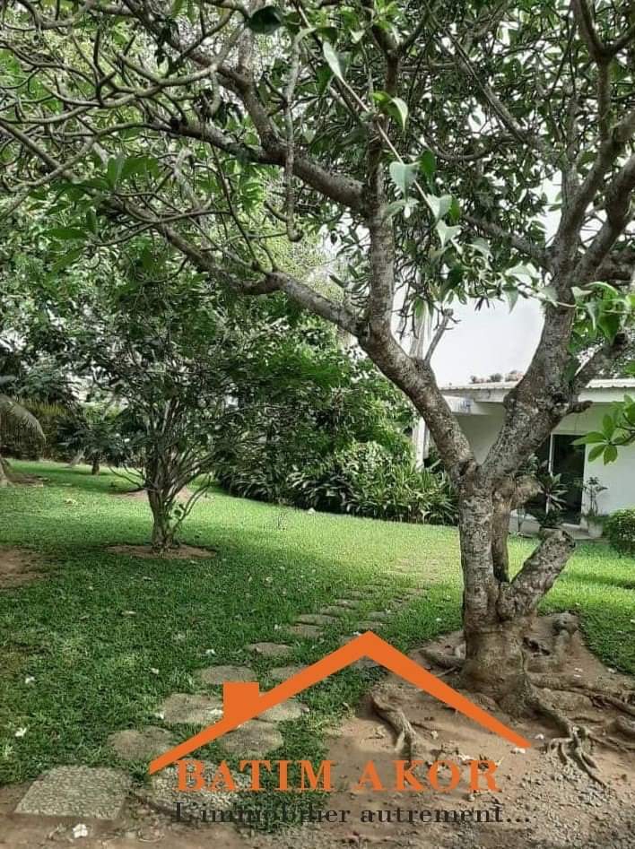 VILLA BASSE 4 PIÈCES EN VENTE