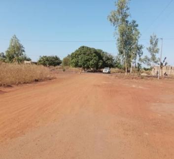 Vente Terrain 250 m² - Diass