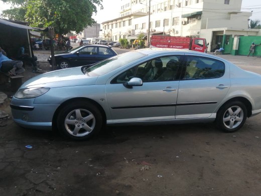 Peugeot 407 2004