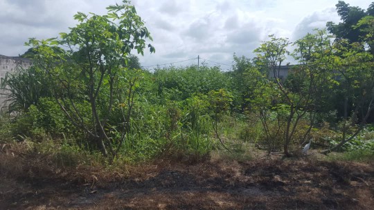 Vente Terrain Ngoyo Vente Terrain Ngoyo