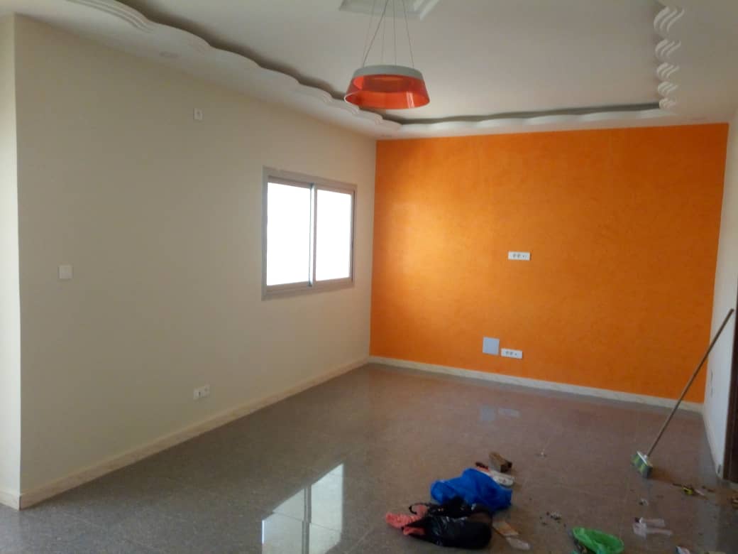 Plaques Tibiales Proximales Latérales 5.0 Mm - Lot De 12 Pièces En Acier Inoxydable Pour Chirurgie Vétérinaire