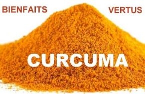 poudre de curcuma bio