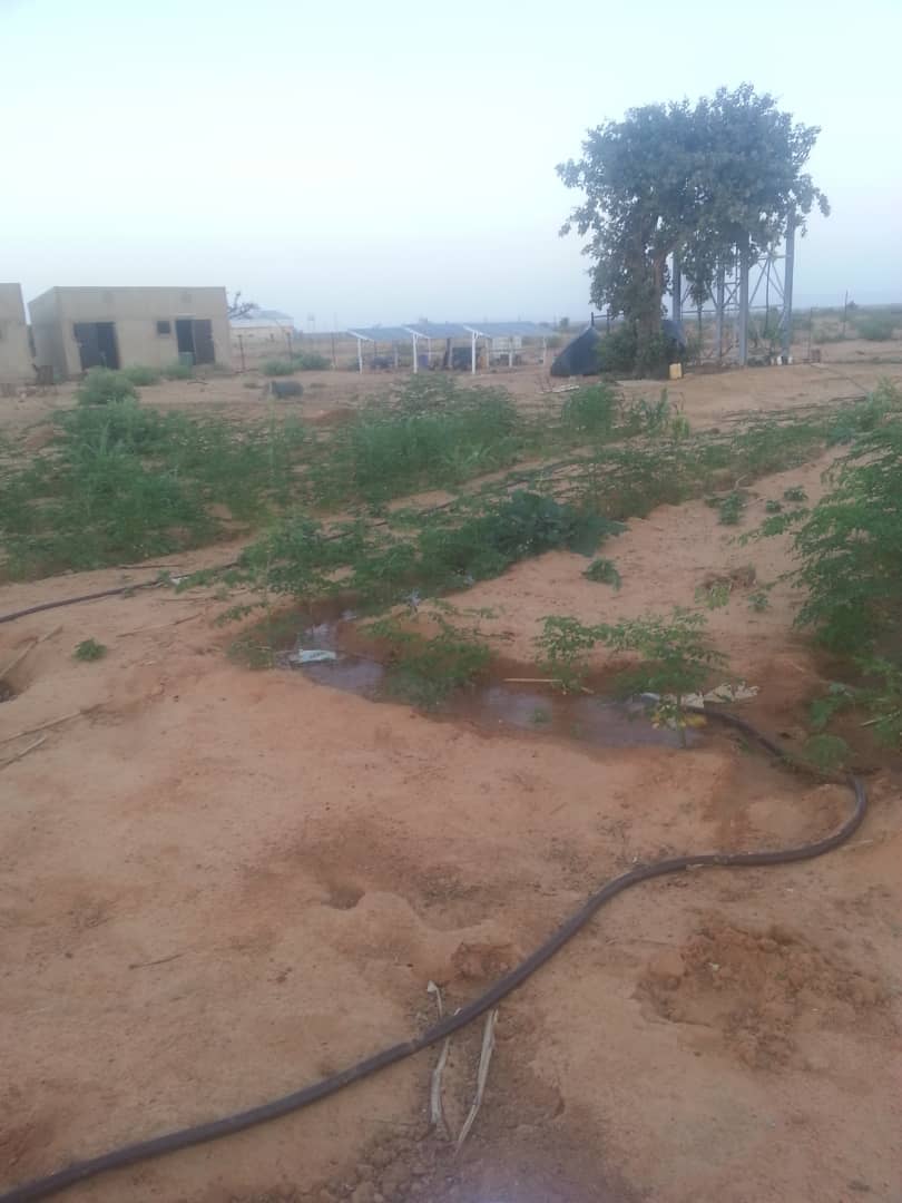 Vente terrains 5600m² - Niamey Vente terrains 5600m² - Niamey