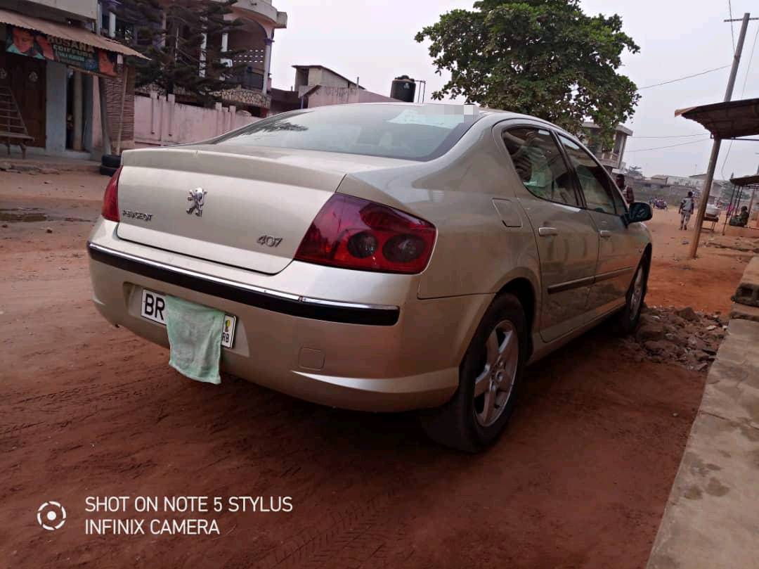 Peugeot 407 2007