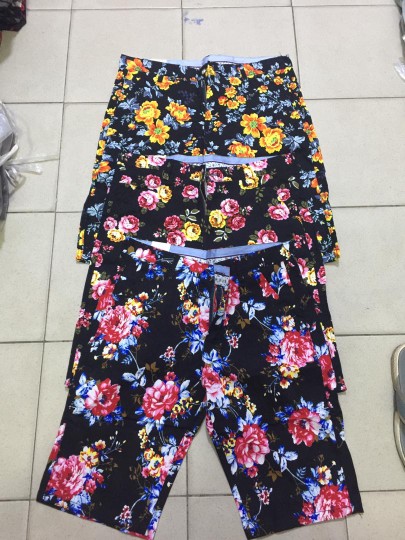 Shorts Shorts