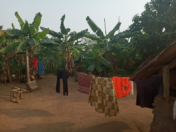 Location terrain 600m² - Cocody Blockauss