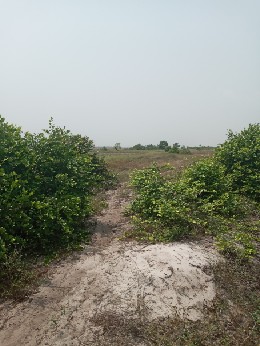 Location terrain 600m² - Cocody Blockauss