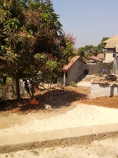 Vente Terrain Yataya