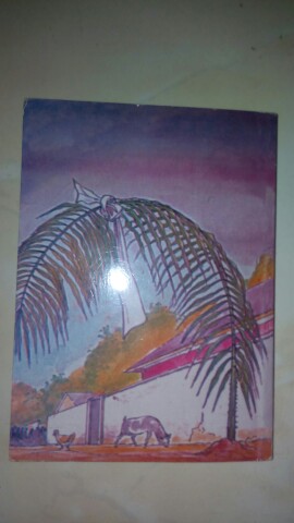 Roman  - Pour un cheveux blanc