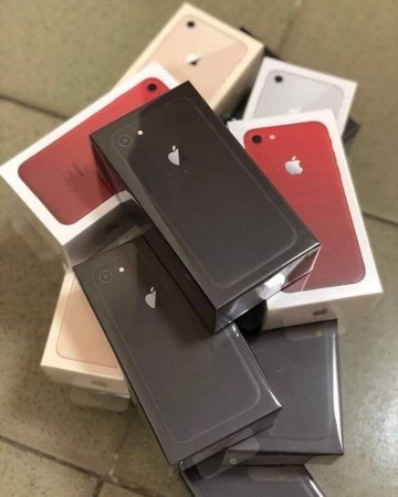iPhone 11 iPhone 11