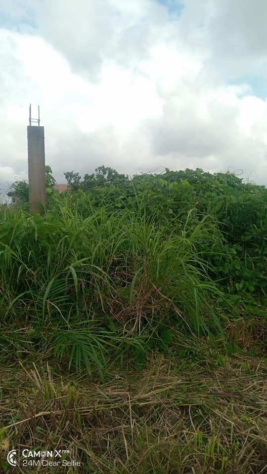 3143 M² TERRAIN TITRÉ À VENDRE À DOUALA YASSA AU STADE