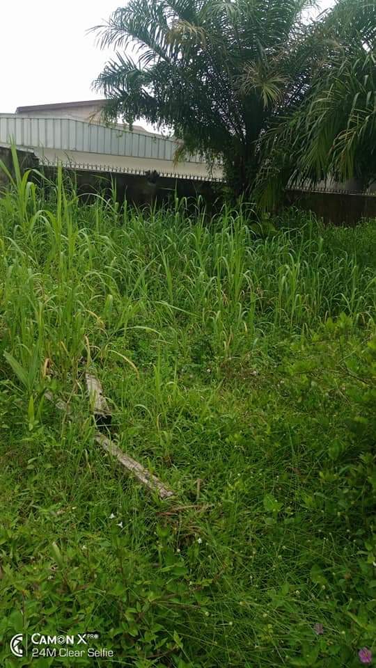 370 M² TERRAIN TITRÉ DANS LA BARRIÈRE LOT MAETUR À VENDRE À DOUALA DENVER BONAMOUSSADI 370 M² TERRAIN TITRÉ DANS LA BARRIÈRE LOT MAETUR À VENDRE À DOUALA DENVER BONAMOUSSADI