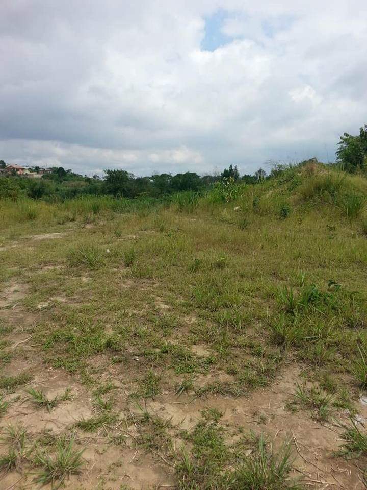 TERRAIN TITRÉ À VENDRE À DOUALA LOGBESSOU 2 PAPAS
