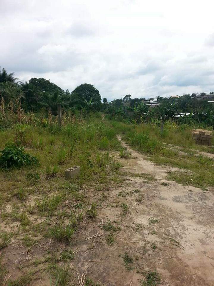 TERRAIN TITRÉ À VENDRE À DOUALA LOGBESSOU 2 PAPAS