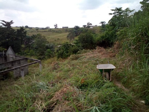 Vente Terrain Owendo