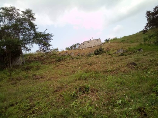 Vente Terrain Owendo Vente Terrain Owendo