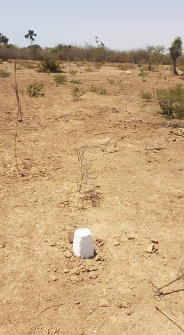 Vente Terrain 225 m² - Thies