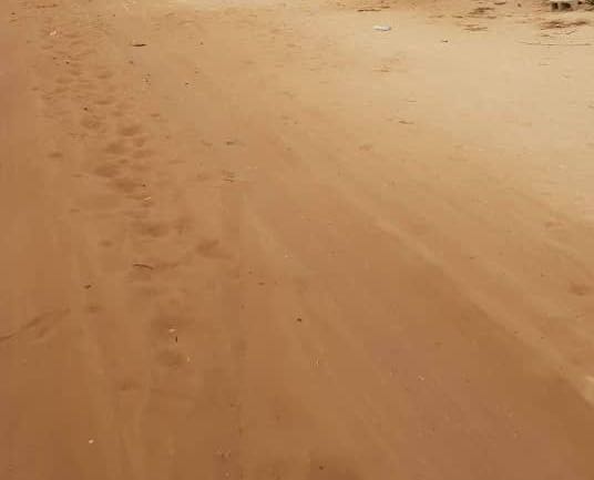 Vente terrain - Almadies 2