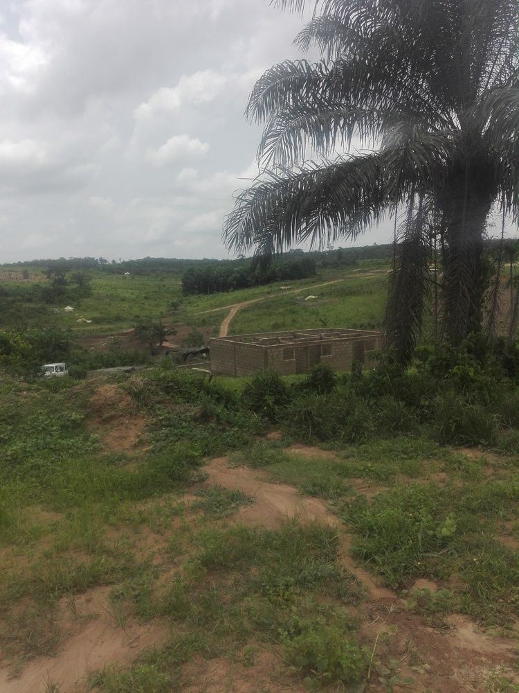 Terrain  500 m² à Alépé