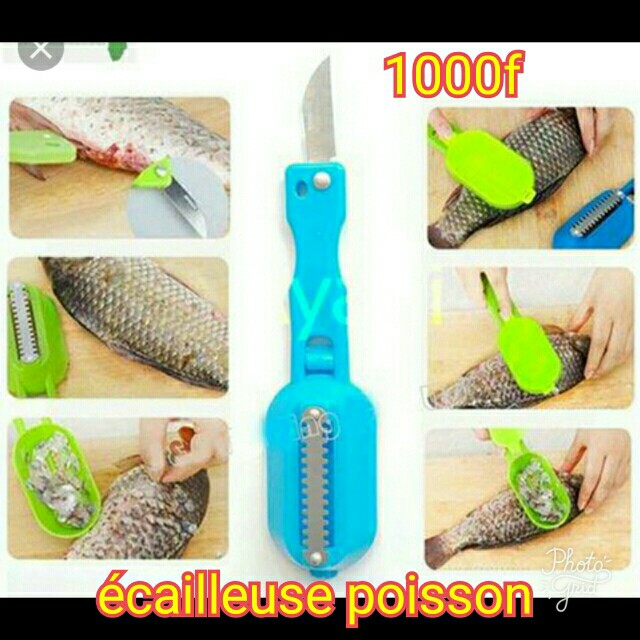 Écailleuse poisson