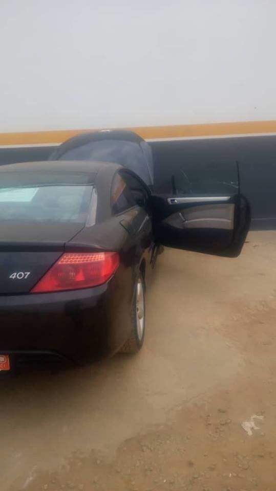 Peugeot 407 Sport 2007