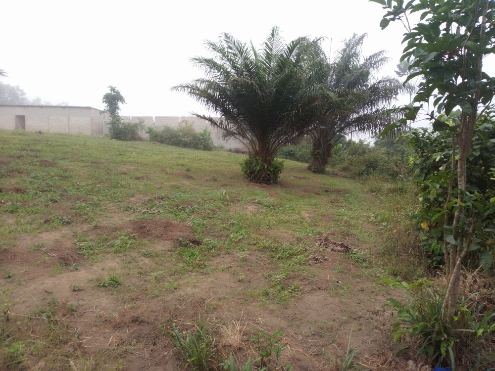 Terrain  De 600m² en Vente À 4 croix Commune D'anyama
