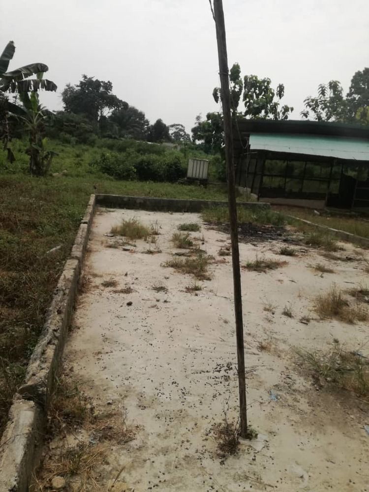 Ferme En Vente a Azaguie