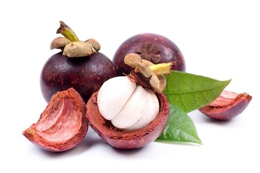 Fruit Mangoustant Très Bonne Qualité - Grossiste / Particulier