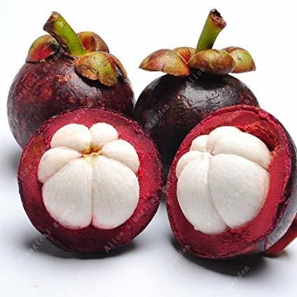 Fruit Mangoustant Très Bonne Qualité - Grossiste / Particulier