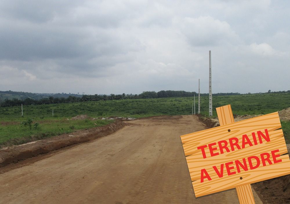 Terrains Sûrs Et Sécurisés À Angré Et Djibi Extension