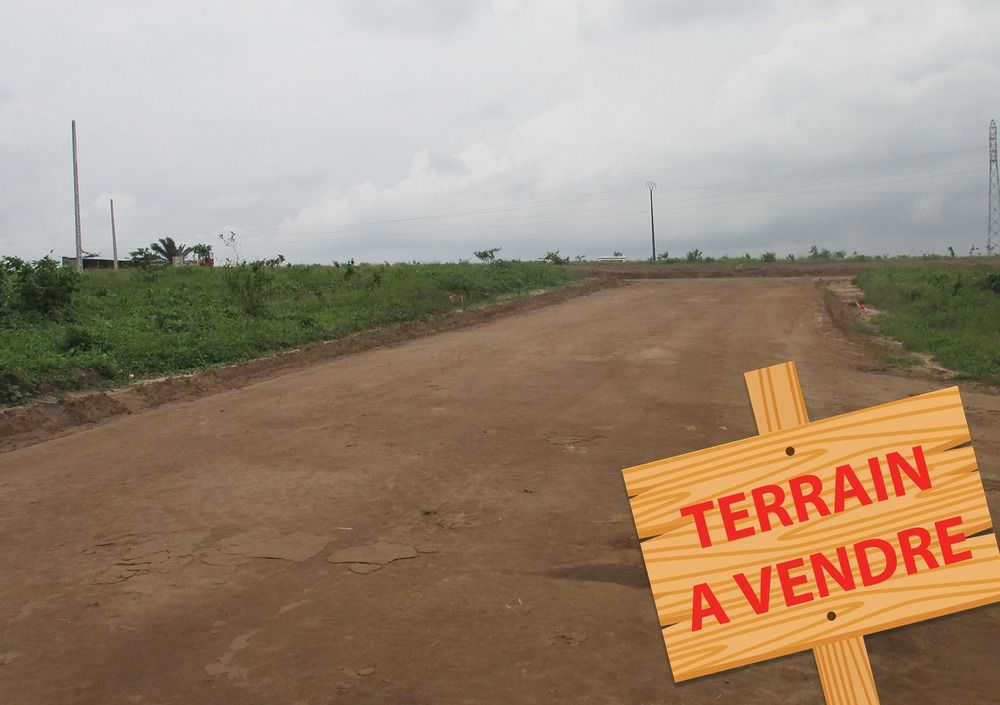 Terrains Sûrs Et Sécurisés À Angré Et Djibi Extension