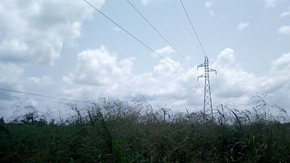 Terrain De 4 Ha Cocody Nord-Brofodoumé-Kogofon