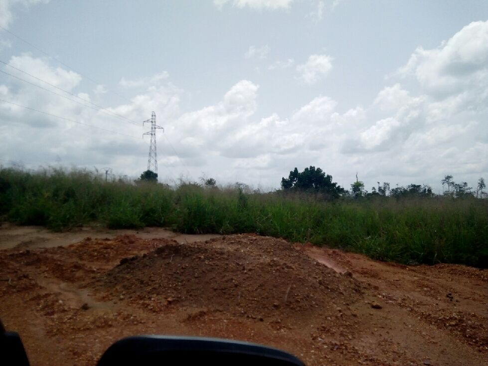 Terrain De 4 Ha Cocody Nord-Brofodoumé-Kogofon