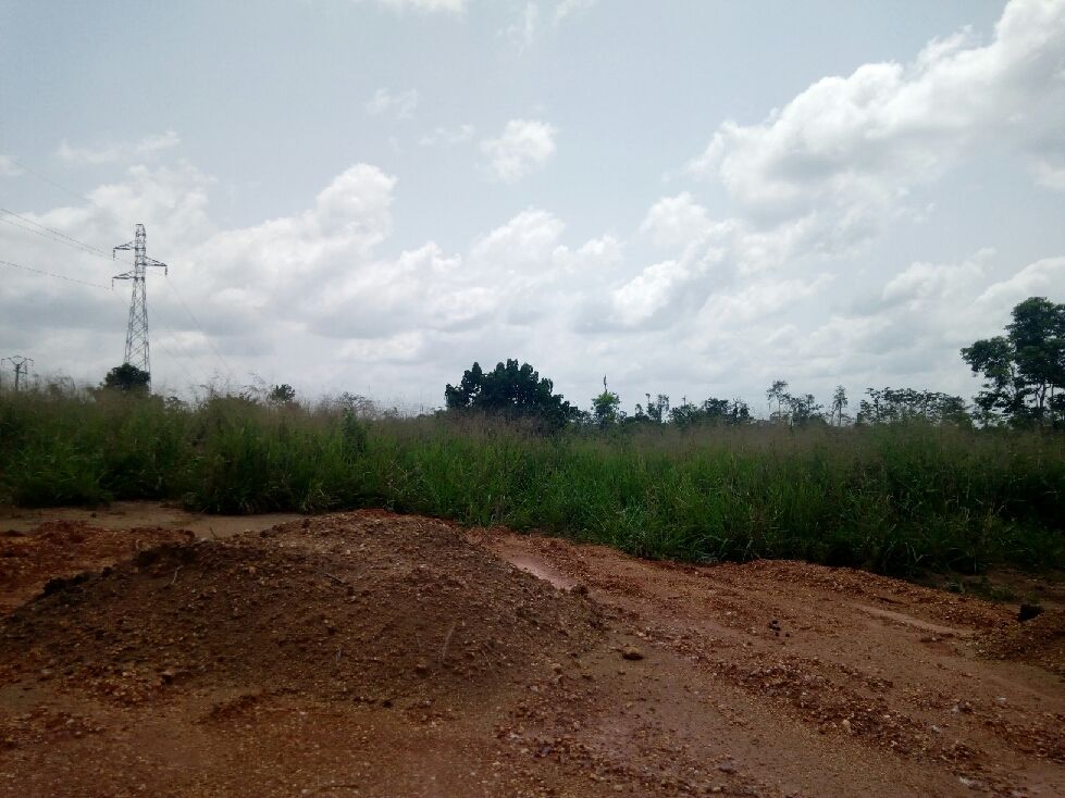 Terrain De 4 Ha Cocody Nord-Brofodoumé-Kogofon