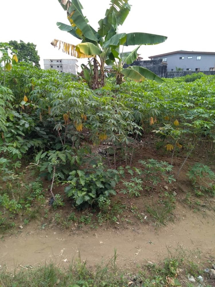 TERRAIN EN VENTE A LA RIVIERA 4 CITÉ VERDOYANTE