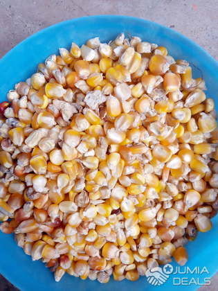 Commercialisation De Maïs Jaune Et Sec