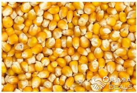 Commercialisation De Maïs Jaune Et Sec