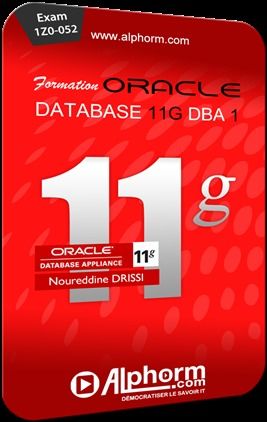 Formation Oracle Database 11g