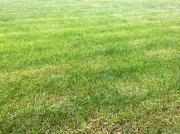 Terrain 2 Hectares en Vente Riviera Zone Ambassade De Chine