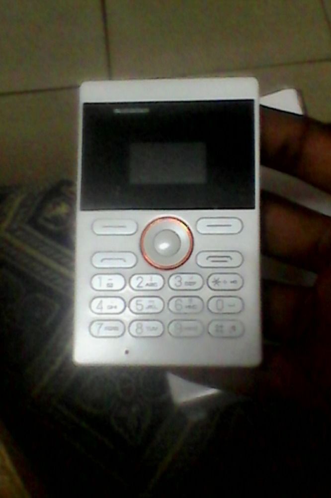 ifcane très petit et léger neuve dans carton venu de Belgique