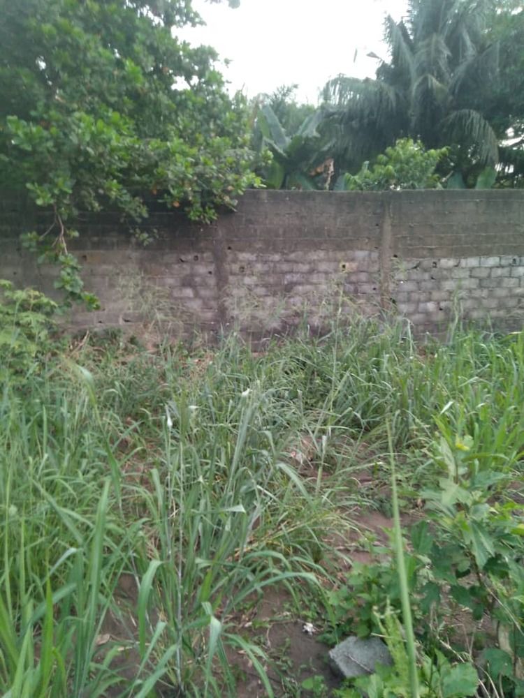 Terrain bien situé a Bonoumin vers la cité Abri 2000 à 65.000.000 à débattre