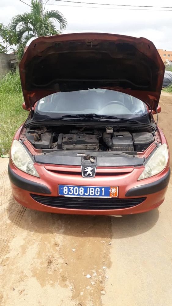 Ventes flash peugeot 307