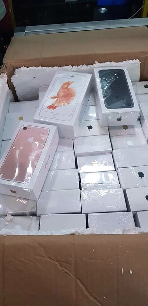 iPhone 5C 16 GO Neuf Scellé