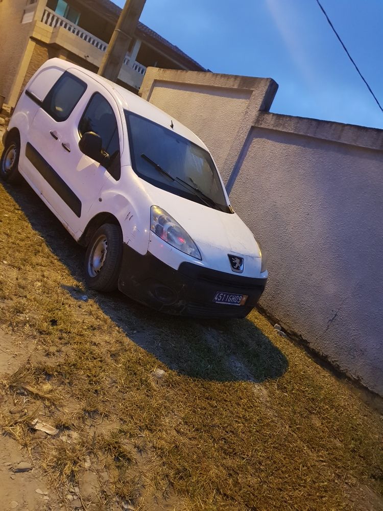 Peugeot Partner 2010
