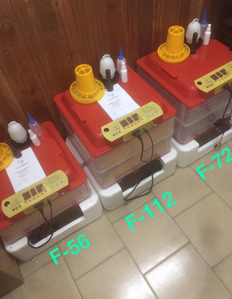 couveuses automatique