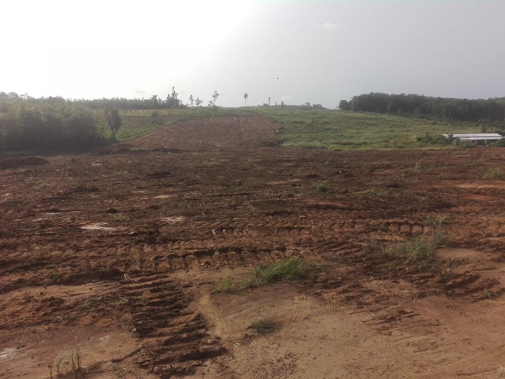 Terrain de 500m²  Yopougon  Songon