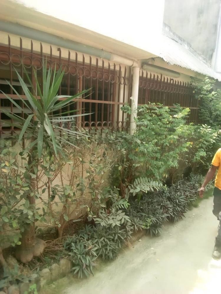 Duplex 4 pièces en vente au plateau dokui