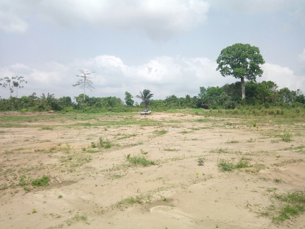 Terrain 22 Ha à Cocody Nord-Brofodoumé