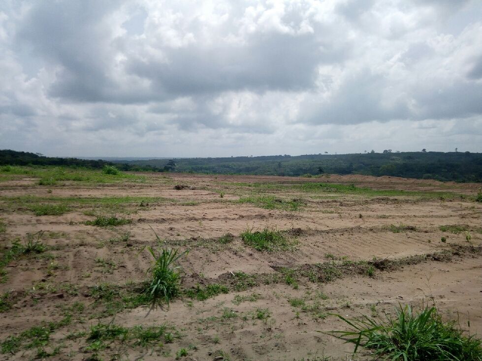 Terrain 22 Ha à Cocody Nord-Brofodoumé