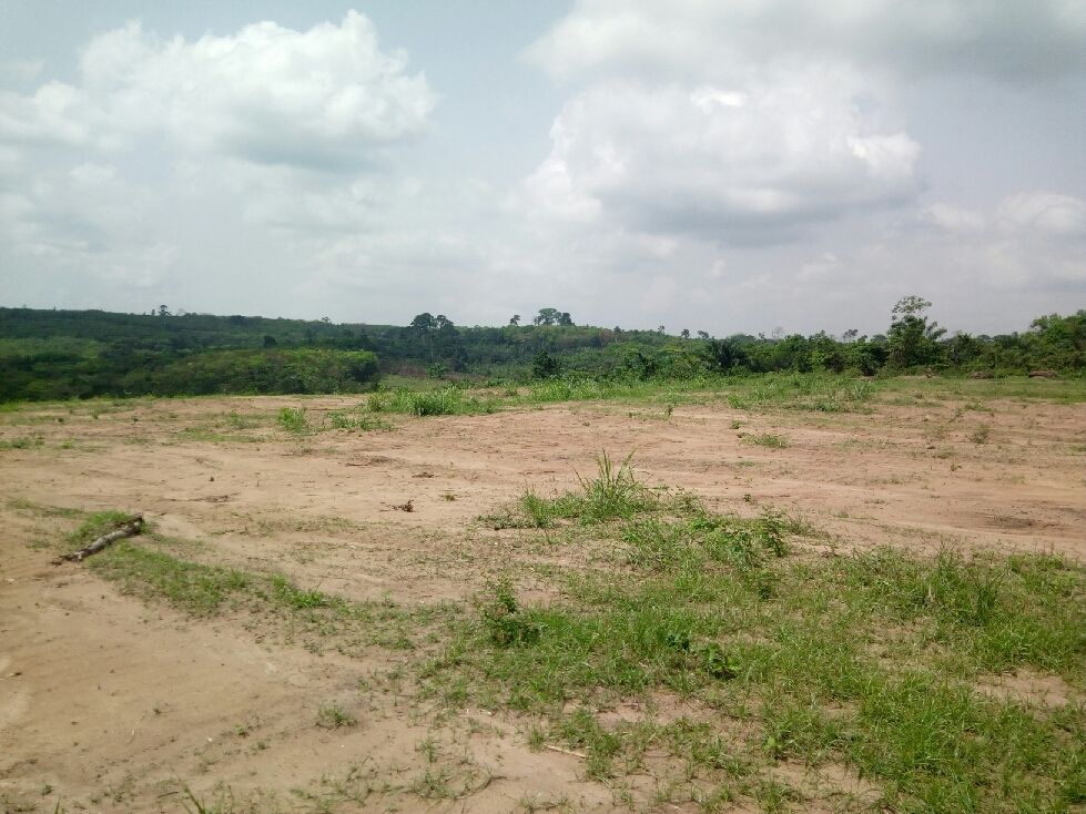 Terrain 22 Ha à Cocody Nord-Brofodoumé